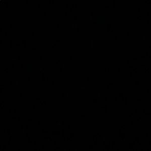 Meet your Posher, Jade